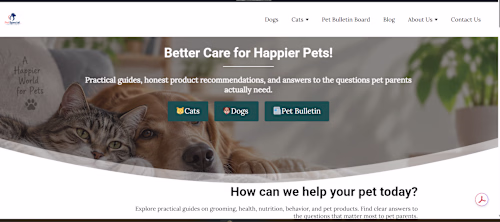 PetSpecial.net: Building a Pet Affiliate Site From Zero