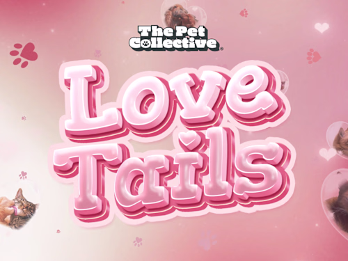 Custom Broadcast Motion Branding for The Pet Collective [47M+]