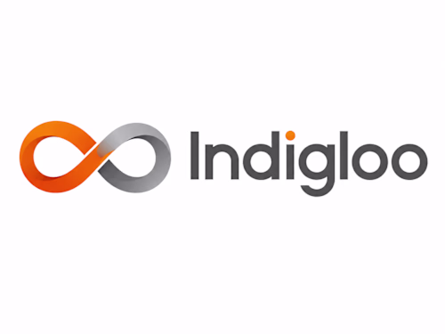 Indigloo Softwares - AI-Driven Software Solutions