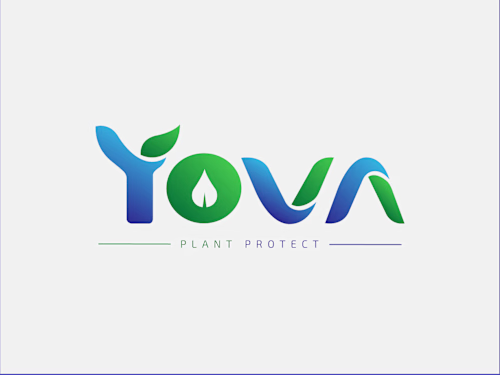 Modern Wordmark Logo