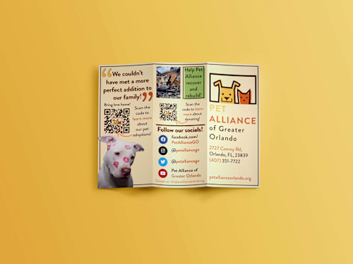 Nonprofit Brochure