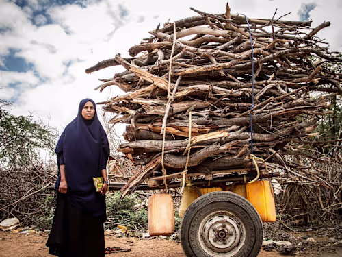 FilmAid Kenya - Showcasing Impact for New Non-Profit Investors