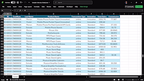 Structured invoice dataset with transaction