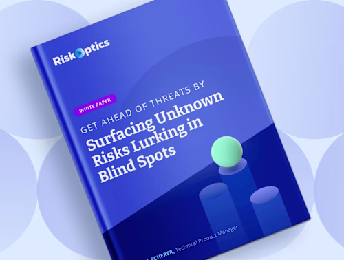 Print and Digital Assets for RiskOptics