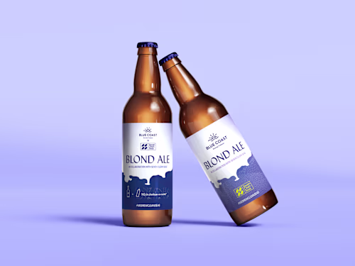 Packaging Design 
