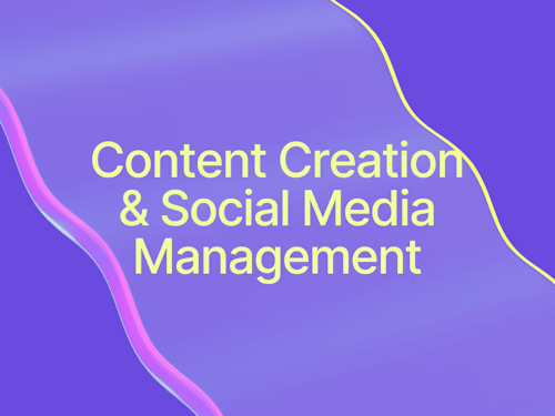 Instagram Management & Content Creation