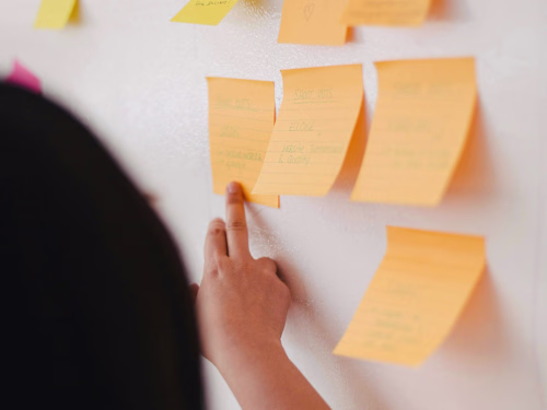 Data Strategy Capability Assessment
