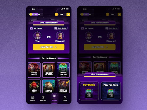 Mobile App for Fitness Enthusiasts