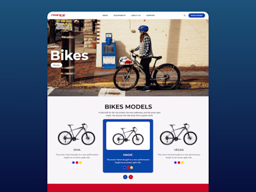 WordPress Website Development for Prince Bicycle