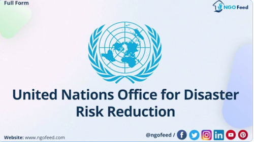 Proofreading a UN Paper on Disaster Risk Reduction
