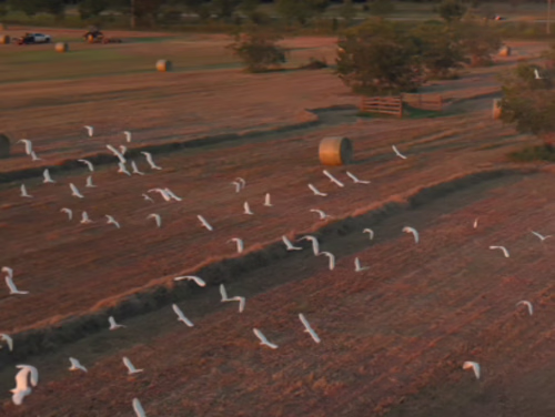 This is a showreel from