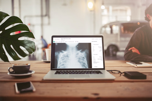 Medical Imaging Annotation Platform Design
