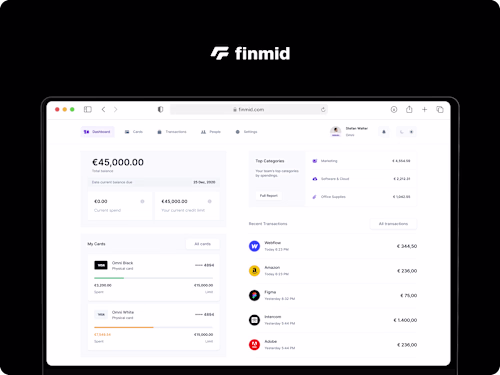 Financial Infrastructure for Software Businesses