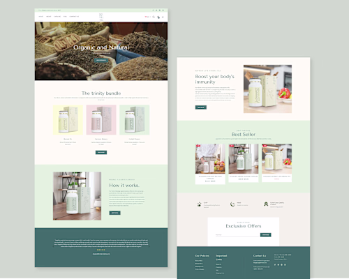YangShen TCM  E-COMMERCE WEB DESIGN