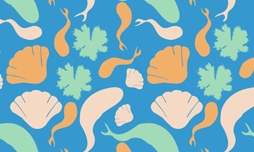 Tropical Pattern Illustrations