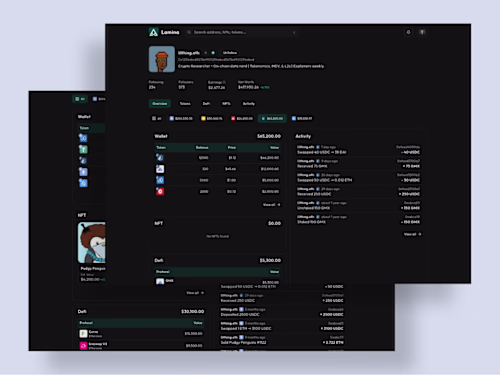 Lamina: NFT Portfolio Dashboard Development