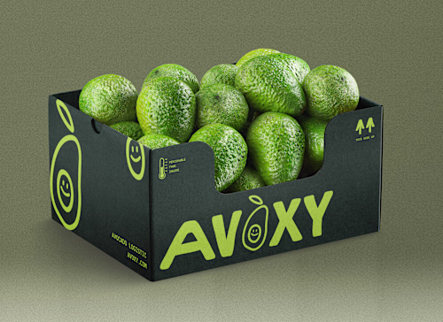 Identity design for Avoxy 