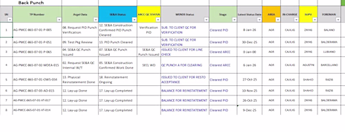 Accurate Excel data entry, formatting,