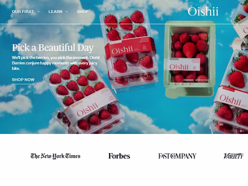 Squarespace UX & Performance Optimization