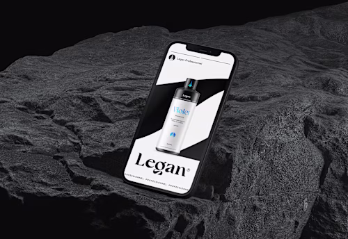 Legan Professionnal