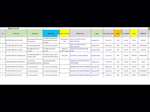 Completed an Excel data entry