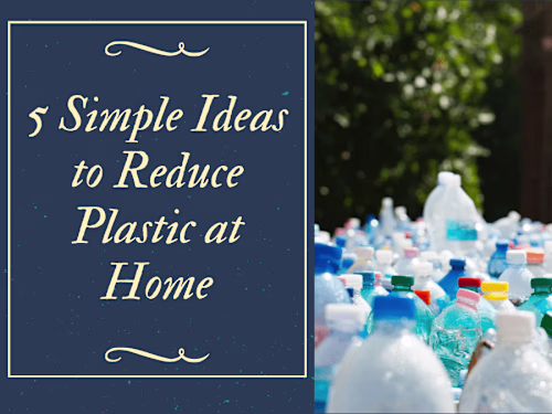SEO Blog Writing: 5 Simple Ideas to Reduce Plastic at Home
