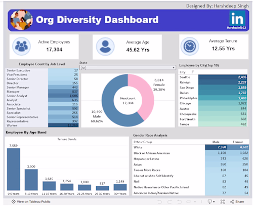 Org Diversity Dashboard built in