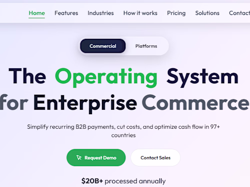 Red Giraffe: Premium Enterprise B2B Payments Web Experience