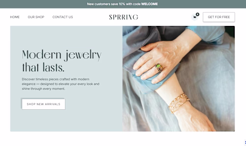 Modern Jewelry Store Website Design