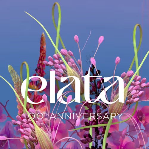 Elata 1923 - motion design project