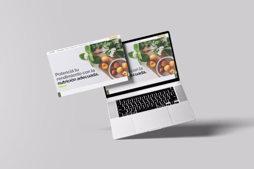 Landing page as a solution for growth