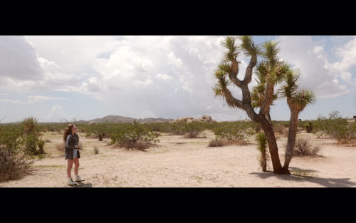 Watch the Captivating Short Film Scene "Flow"