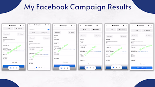 Facebook Campaign Results