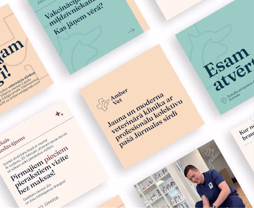 Amber Vet | Branding & Web design