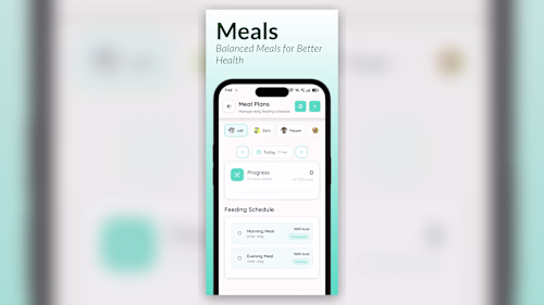 PetsPositive is a social platform