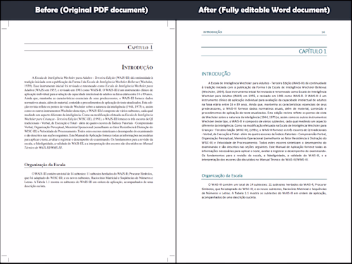 PDF Conversion & Document Formatting