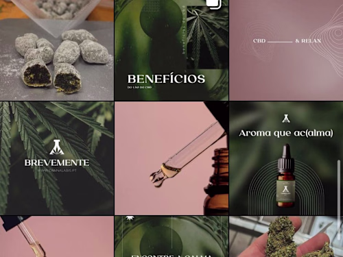Social Media Management - CBD Store