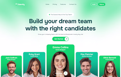Talently – Professional Hiring Platform Web UI Concept A mod...