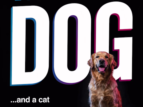 "This is a DOG" — AI-Directed Comedy Poster