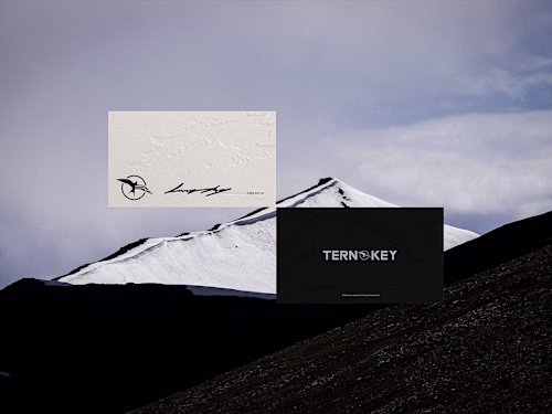Tern Key — Visual Identity