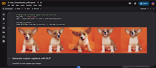 Trained a DreamBooth LoRA model