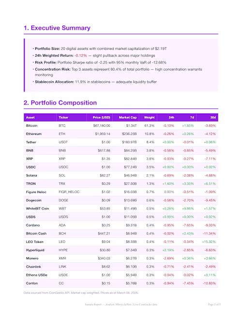 Automated crypto portfolio intelligence report