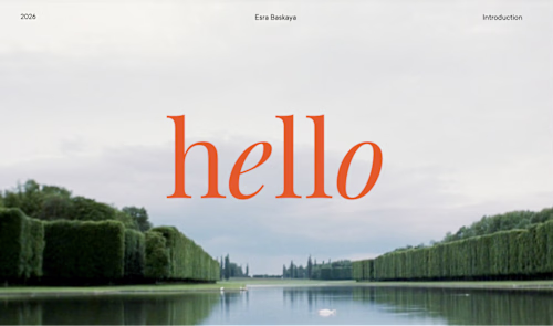 Portfolio Presentation