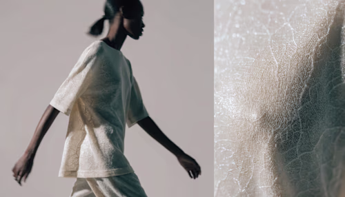 Archive material 02
Mycelium Protocol: A