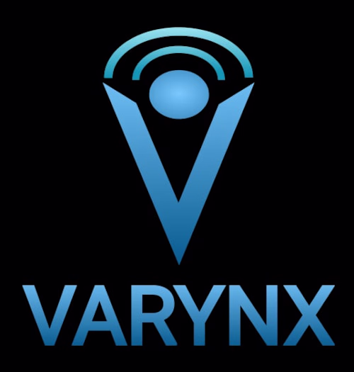 VARYNX Logo & Brand Identity