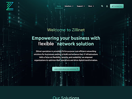 Zillinet - Networking Solutions Website Development