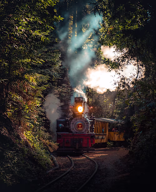 Romance: Two Strangers Meet on a Train During a Cross-Country J…