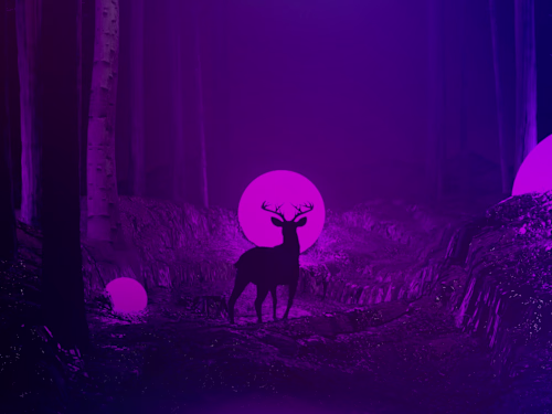 Zuraverse Website Design