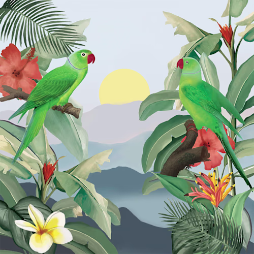 Collection of Original Art Prints