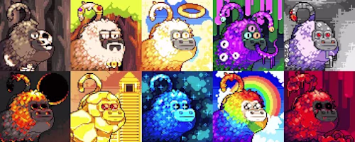 Golden Tamarins Collection